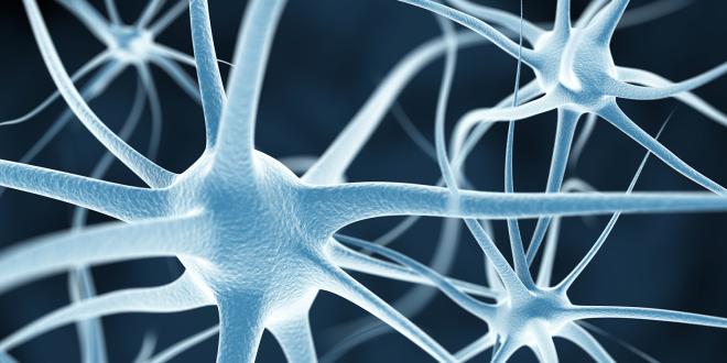 Blue nerves or neurons abstract background.
